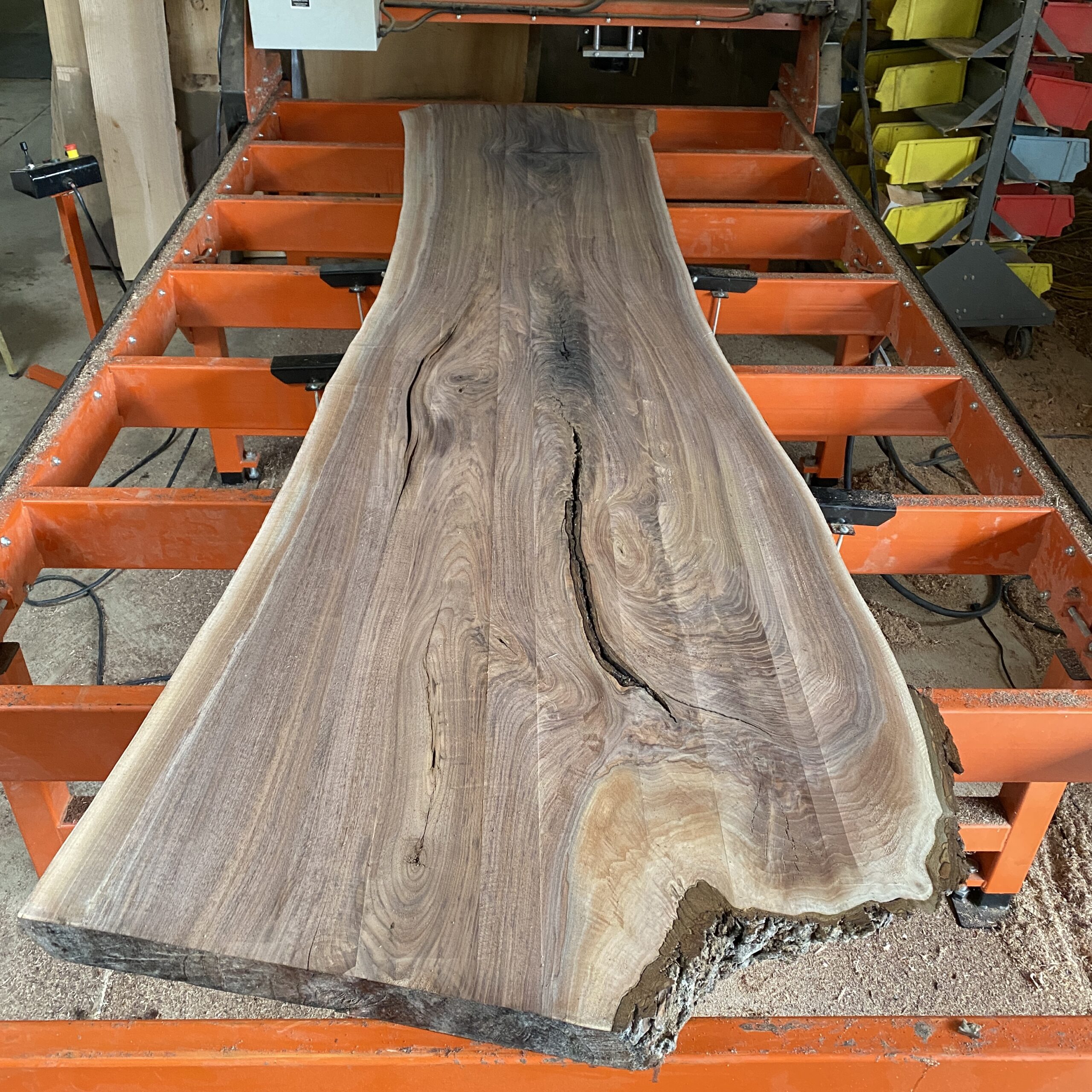 large black walnut wood slab