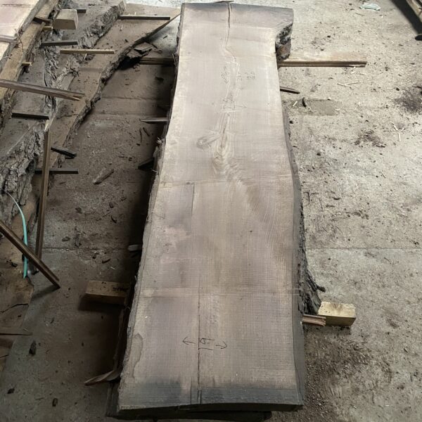 Walnut - Log 14 Slab D (Copy)