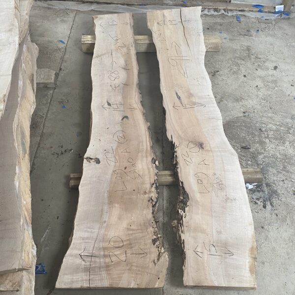 Live Edge Maple Slabs - Log 21 Slab A (1+2)