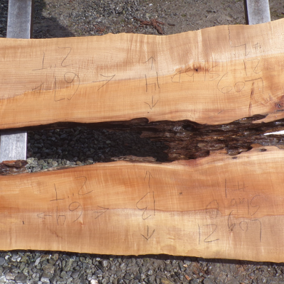 Live Edge Maple River Slab 18 C
