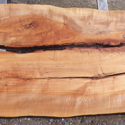 Live Edge Maple Slab 18 D