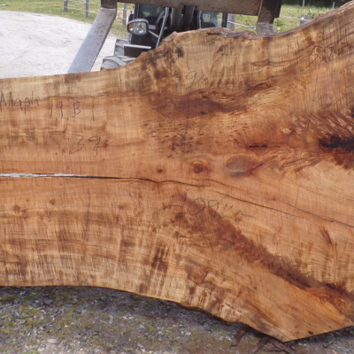 Live Edge Maple Slab 19 B