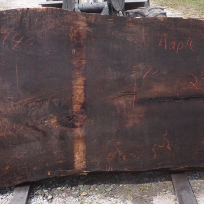 Live Edge Maple Slab 20 B