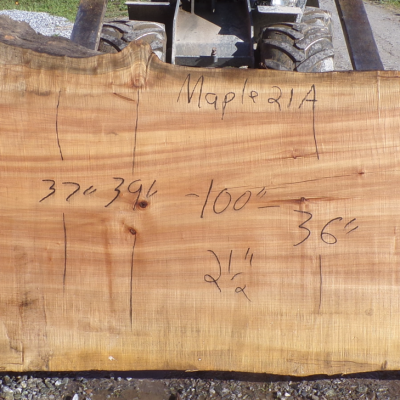 Live Edge Maple Slab 21 A