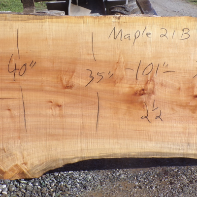 Live Edge Maple Slab 21 B