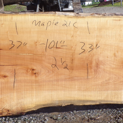 Live Edge Maple Slab 21 C
