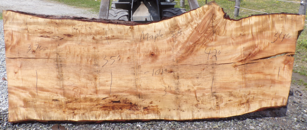 Live Edge Maple Slab 3 B