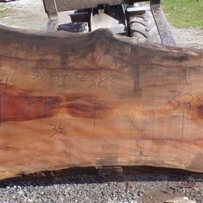 Live Edge Sycamore Slab 5 C