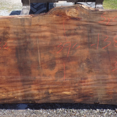 Live Edge Sycamore Slab 7 A