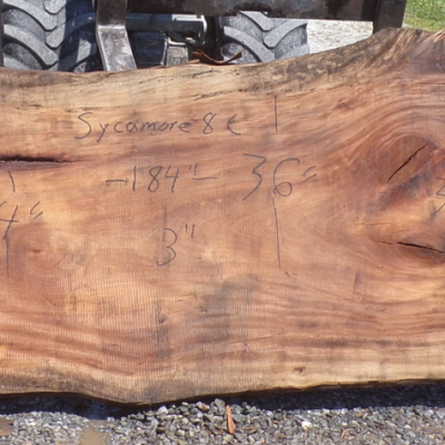 Live Edge Sycamore Slab 8 C