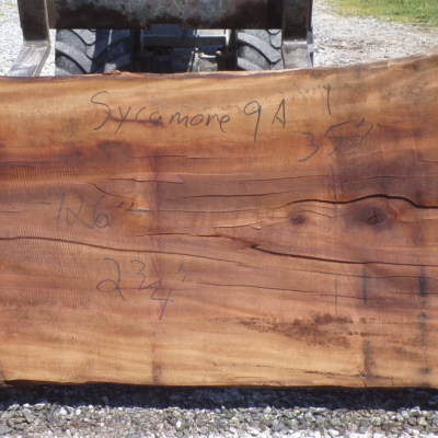 Live Edge Sycamore Slab 9 A