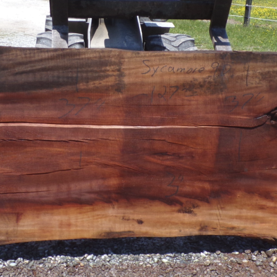 Live Edge Sycamore Slab 9 D