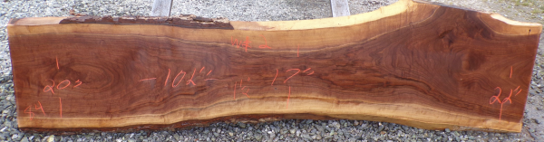 Live Edge Walnut Slab T 2