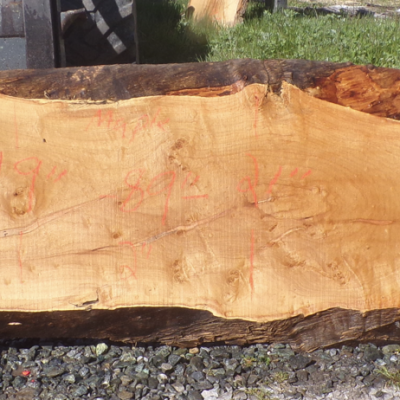 Live Edge Maple Slab 7'