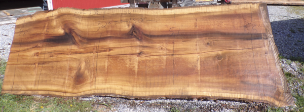 Live Edge Poplar Slab 1 D