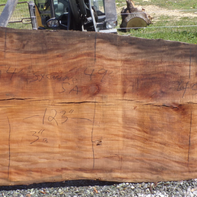 Live Edge Sycamore Slab 5 A