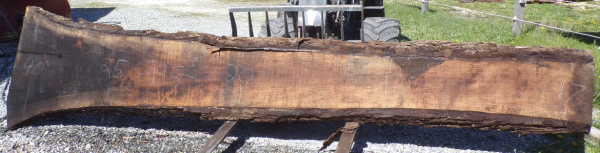 Live Edge Walnut Slab 4 D