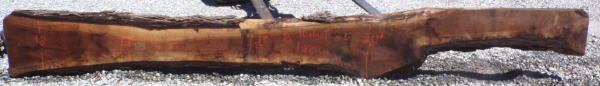 Live Edge Walnut Slab 8 E