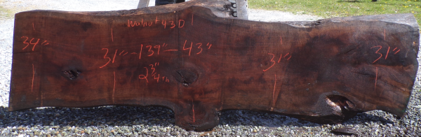 Live Edge Walnut 43D