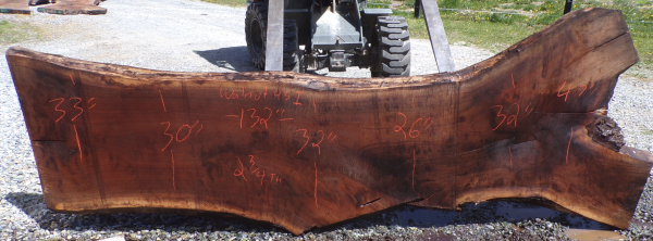 Live Edge Walnut Slab 43I
