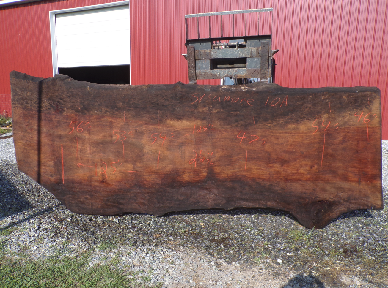 Live Edge Sycamore Slab 10 A