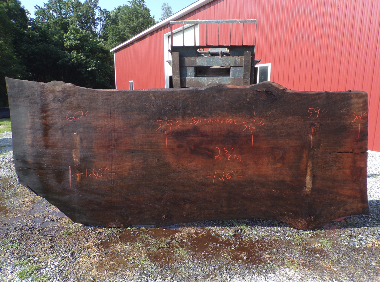 Live Edge Sycamore Slab 10 C