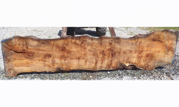 Live Edge Maple Slab 26C