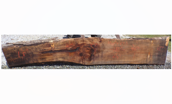 Live Edge Maple Slab 27A