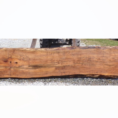 Live Edge Maple Slab 27G