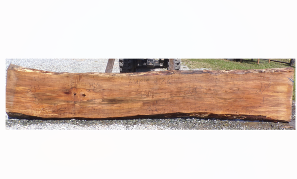 Live Edge Maple Slab 27G