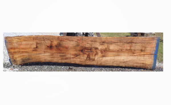 Live Edge Maple Slab 27D
