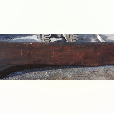 Live Edge Walnut Slab 46E