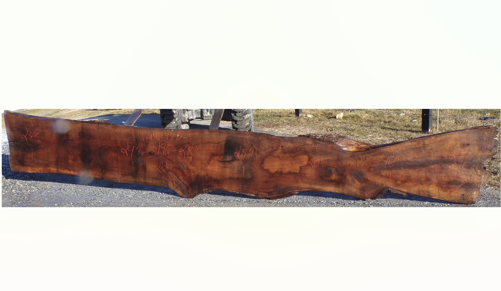Live Edge Walnut Slab 48D