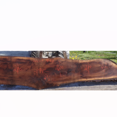 Live Edge Walnut Slab 49D