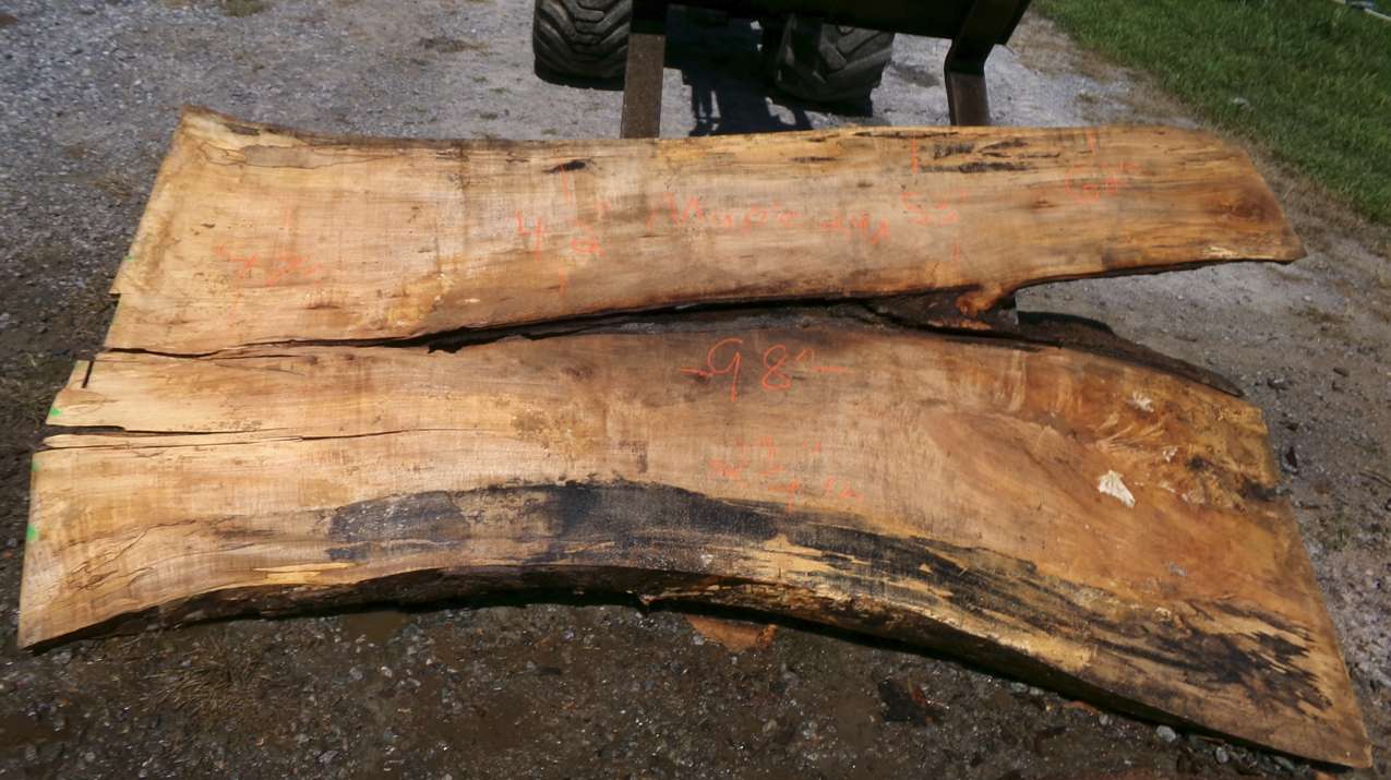 Live Edge Maple Slab 29A