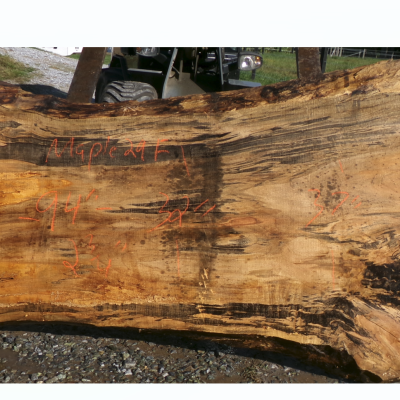 Live Edge Maple Slab 29F