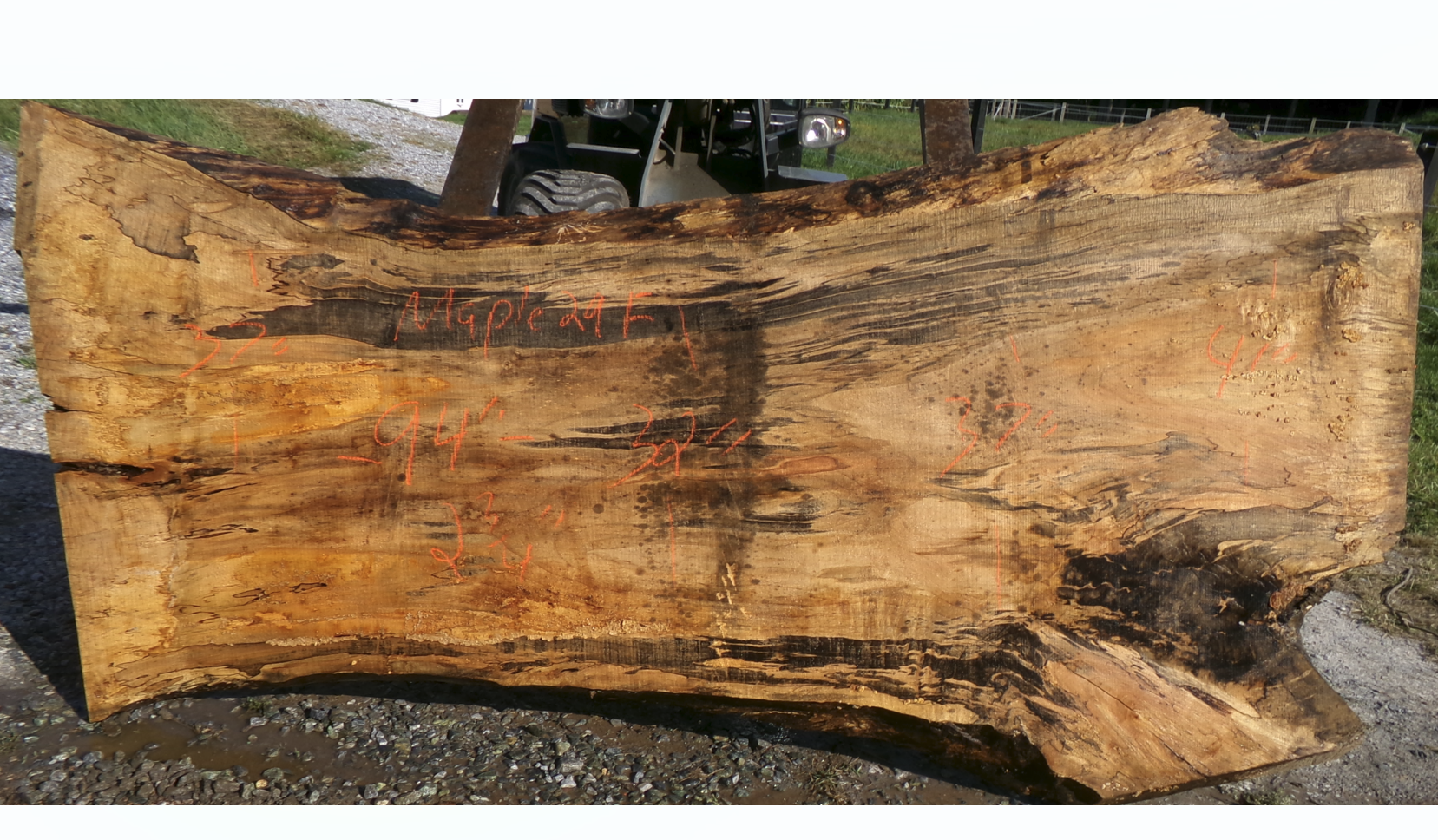 Live Edge Maple Slab 29F