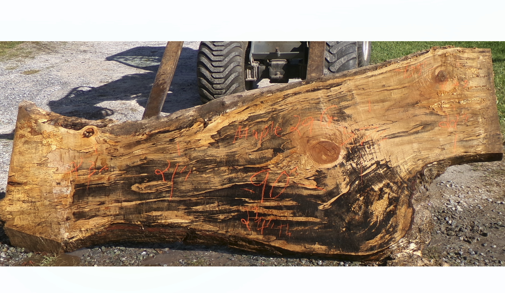 Live Edge Maple Slab 29G