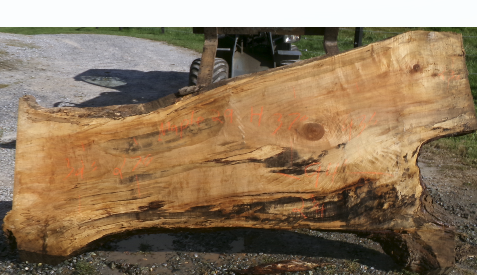 Live Edge Maple Slab 29H