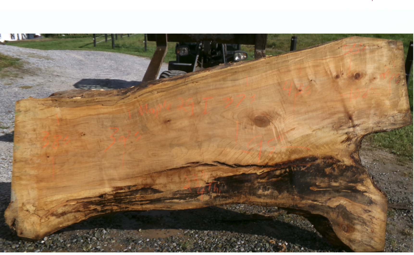 Live Edge Maple Slab 29I