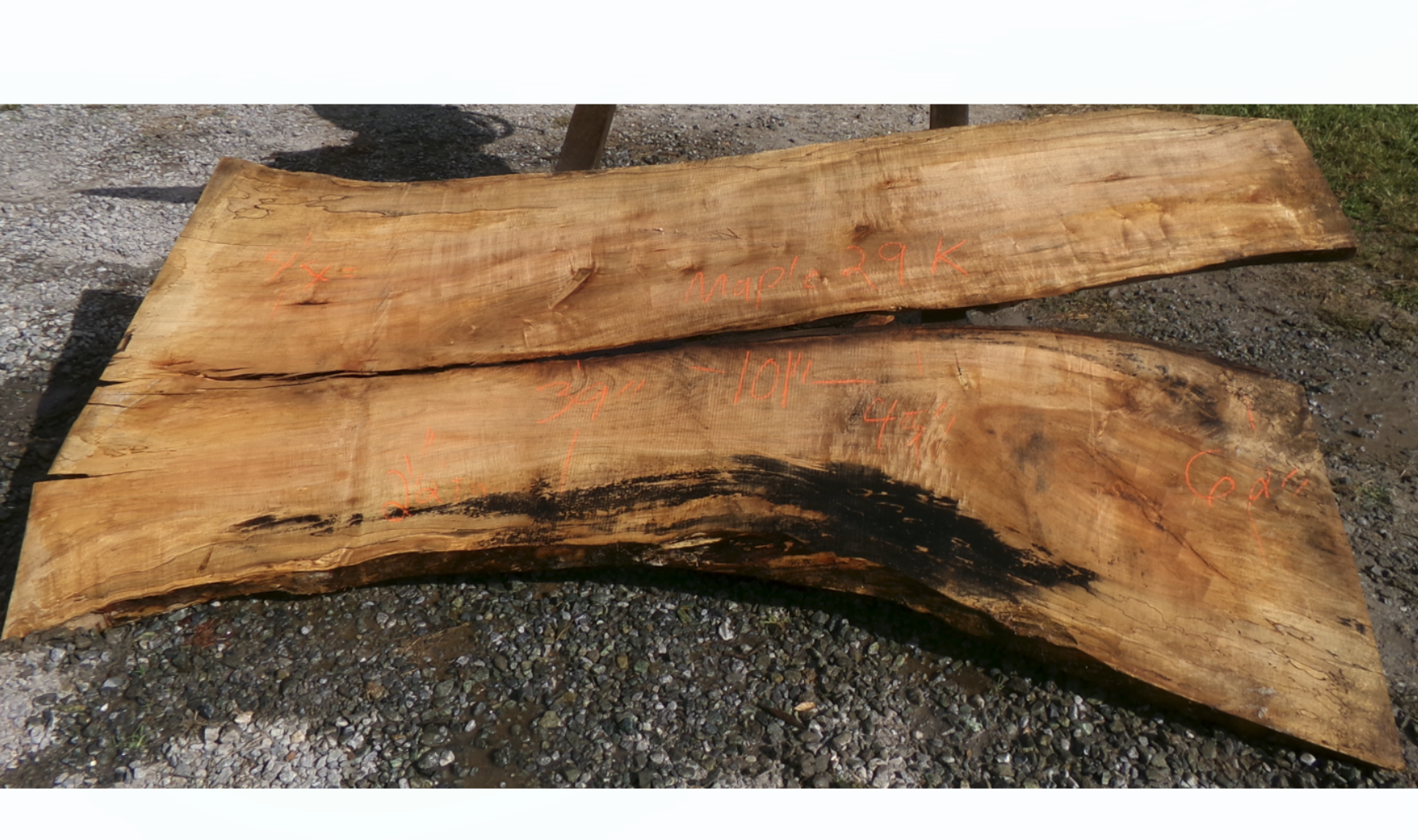 Live Edge Maple Slab 29K