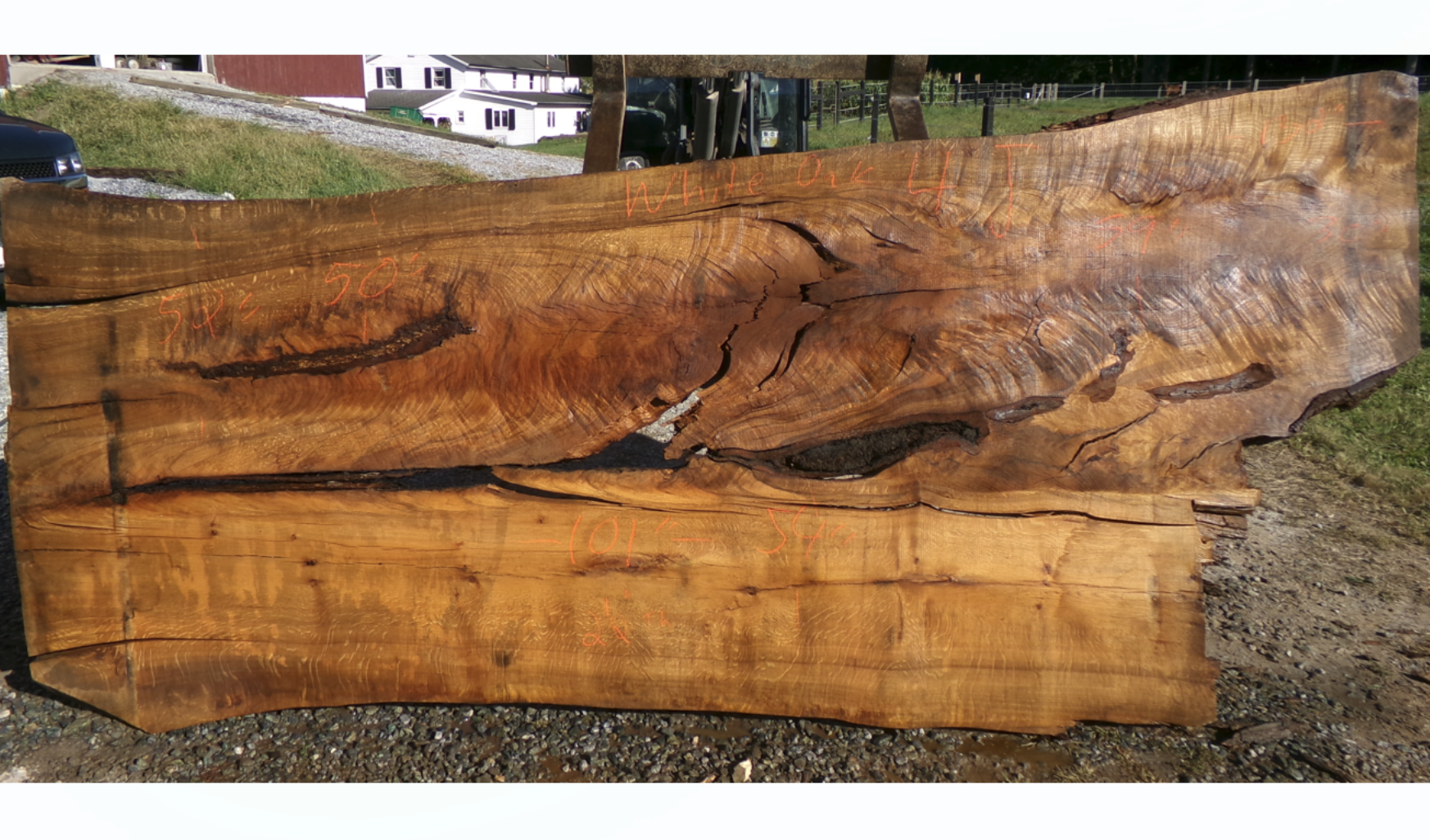 Live Edge White Oak Slab 4J