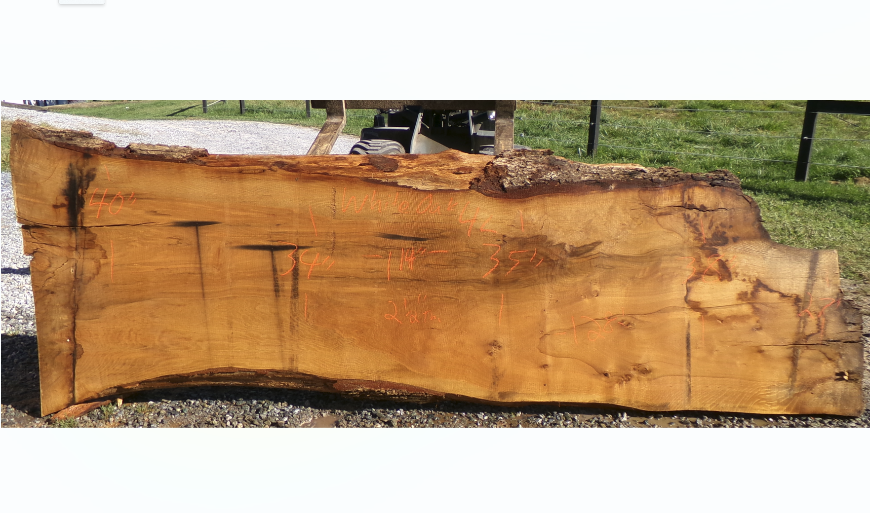Live Edge White Oak Slab 4L
